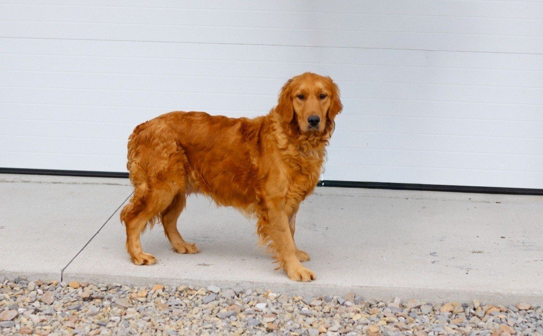 Screenshot_20260121-173933_Chrome